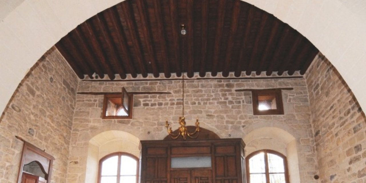 Zeytindalı 100. Sayısıyla Dalya Dedi