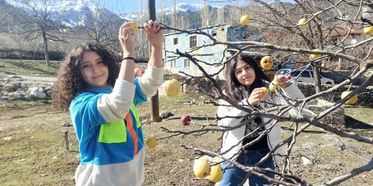 Kuşlar İçin Ağaçlara Elma Astılar