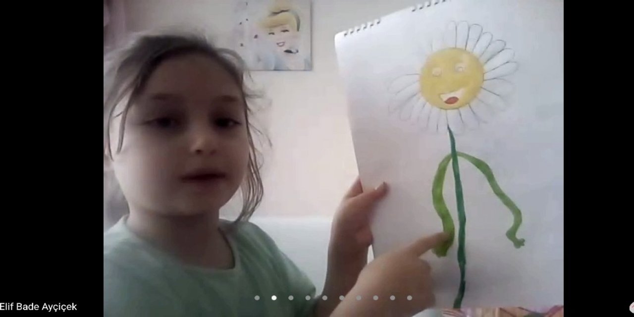 Hayâl Ettiler, Çizdiler