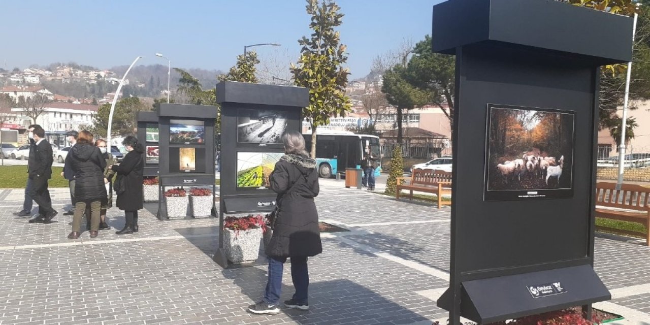 2. Beykoz Fotoğraf Yarışması Ödül Töreni Gerçekleşti