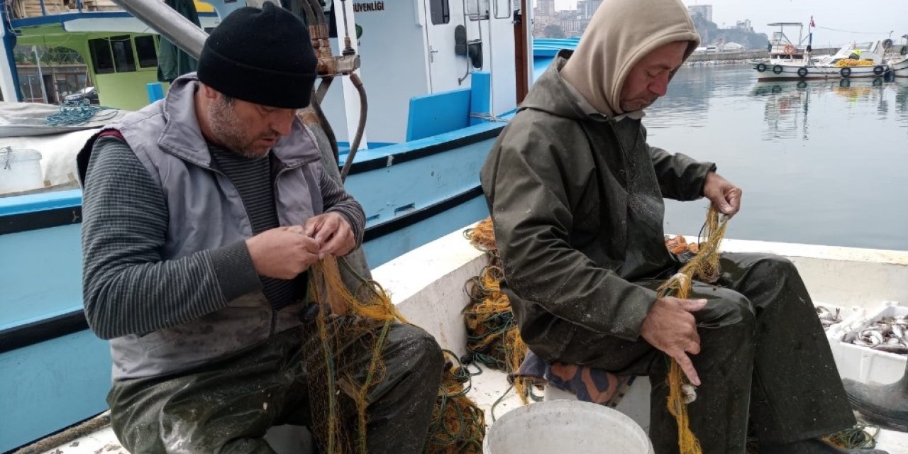 Zonguldaklı Balıkçılar 100 Kilogram Mezgitle Limana Döndü