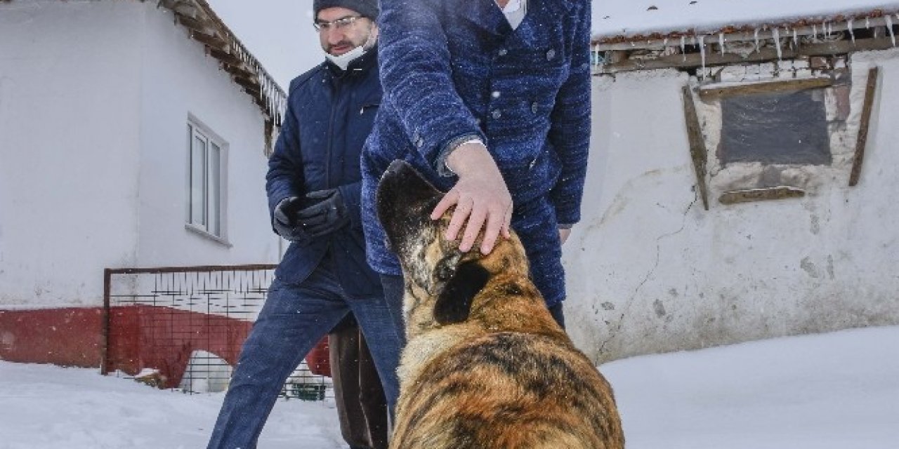 Başkan Özkan’ın Hayvan Sevgisi