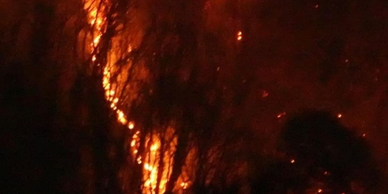 Japonya’da 3 Gündür Süren Yangında, 50 Hektarlık Alan Kül Oldu