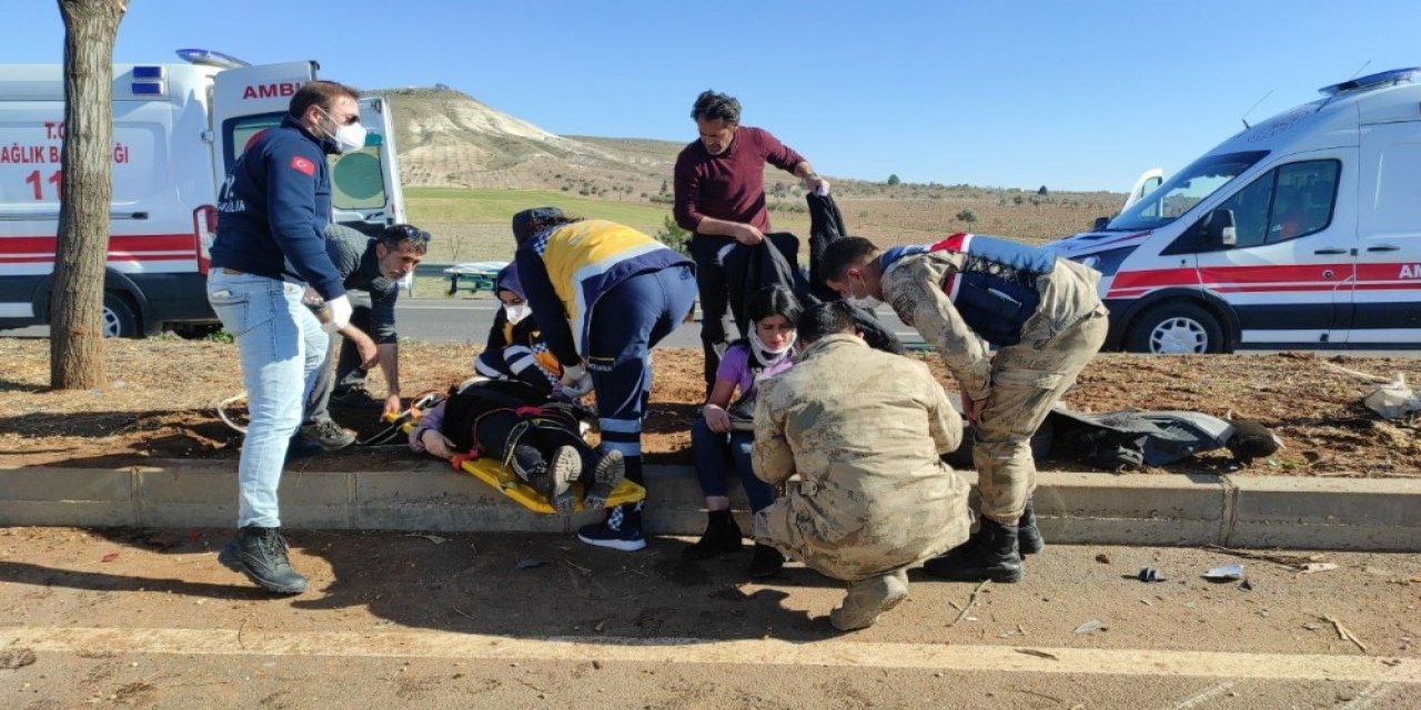 Şanlıurfa’da Otomobil Ağaca Çarptı: 2 Yaralı