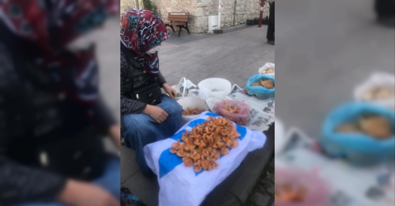 Sağlık deposu olarak bilinen Kanlıca mantarı kilosu 50 tl den satılıyor