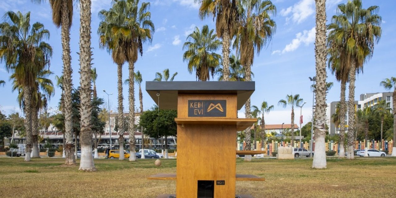 Büyükşehir Belediyesi, Sahilde 10 Noktaya Kedi Evi Yerleştirdi