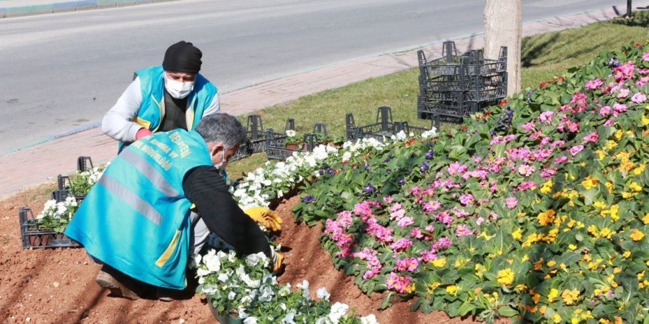 Eyyübiye’de Peyzaj Çalışması
