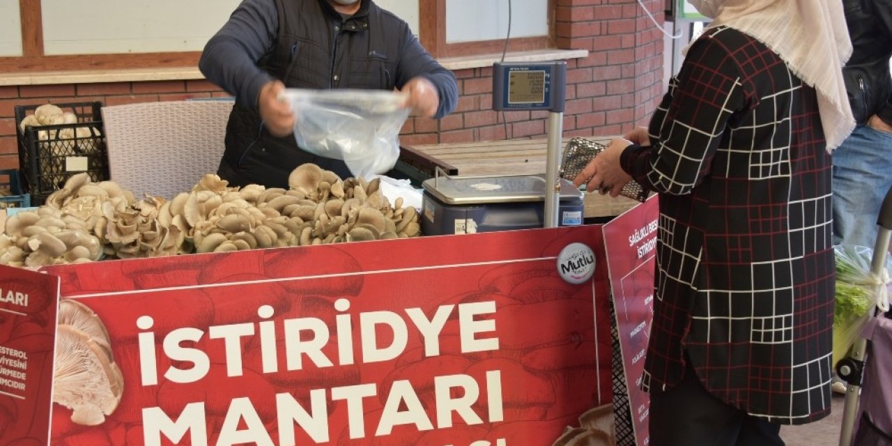 Aliağa’da İstiridye Mantarlarının İlk Mahsulleri Satışa Sunuldu