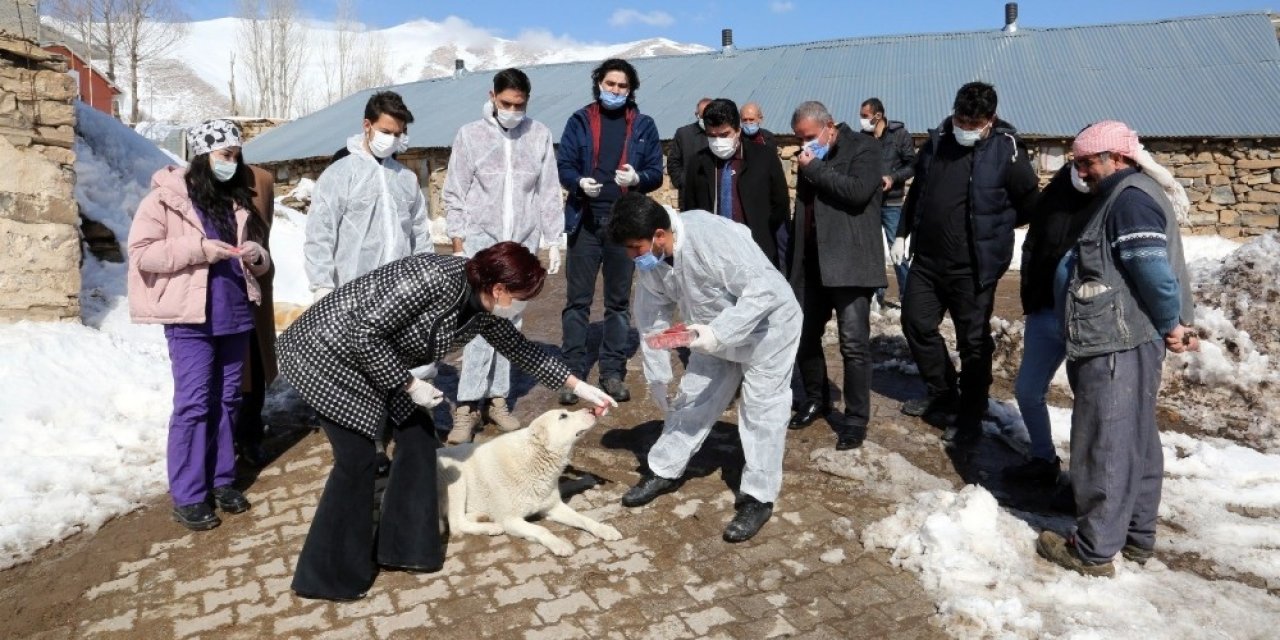 Van Büyükşehir Belediyesi İnsan Ve Hayvan Sağlığı İçin Sahada