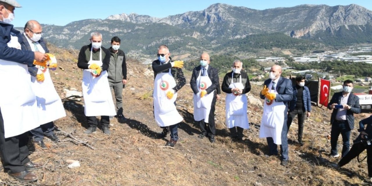 Adrasan’da Yanan Ormanlık Alan Yeniden Yeşillendiriliyor