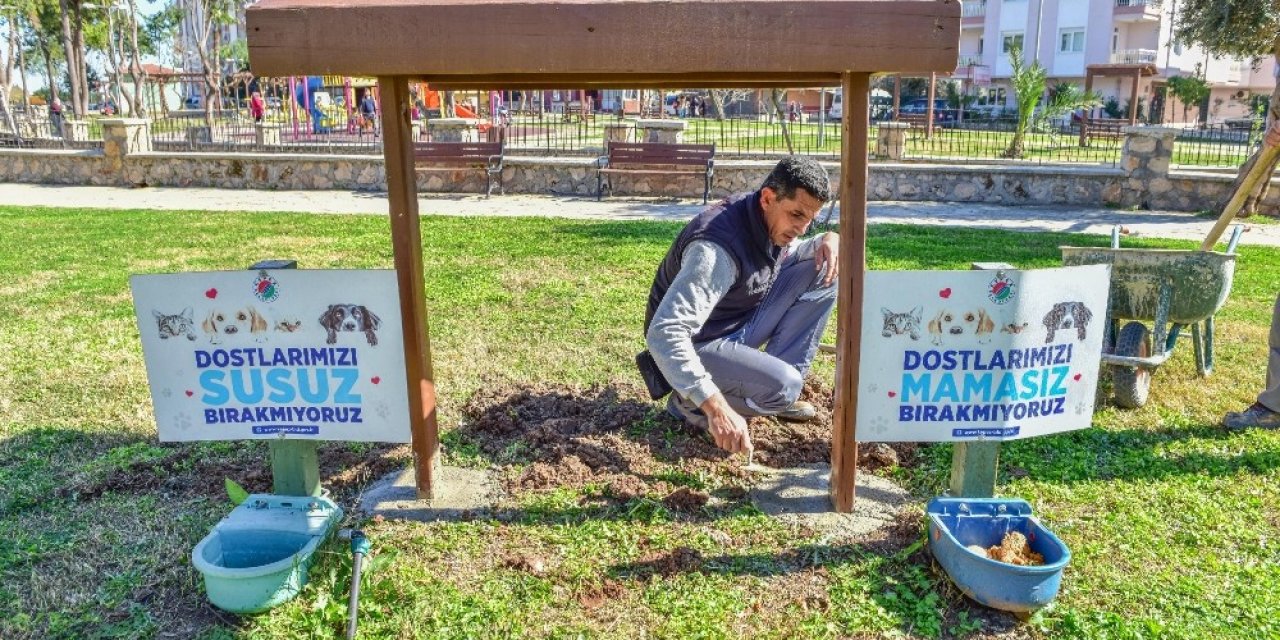 Sokak Hayvanlarının Mama Ve Su Kaplarının Bulunduğu Alana Gölgelik