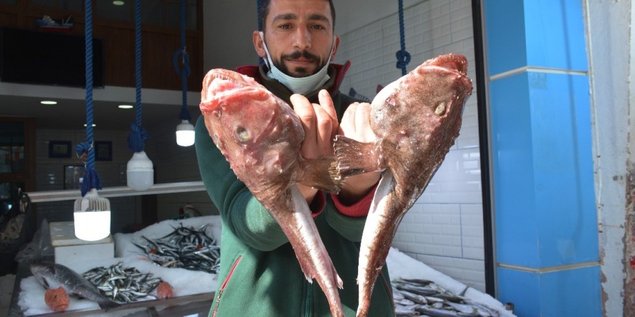 Görenleri Hem Korkuttu Hem Şaşırttı