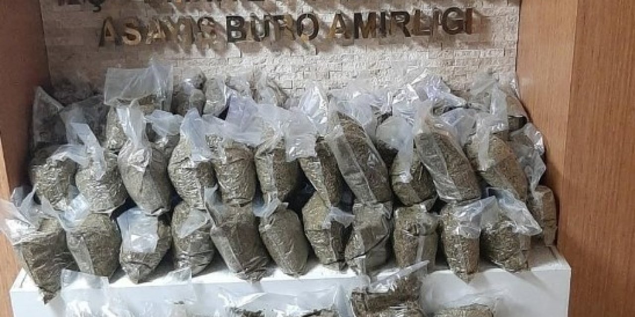 İ̇stanbul’da Dev “bonzai” Operasyonu: 74 Kilogram Ele Geçirildi