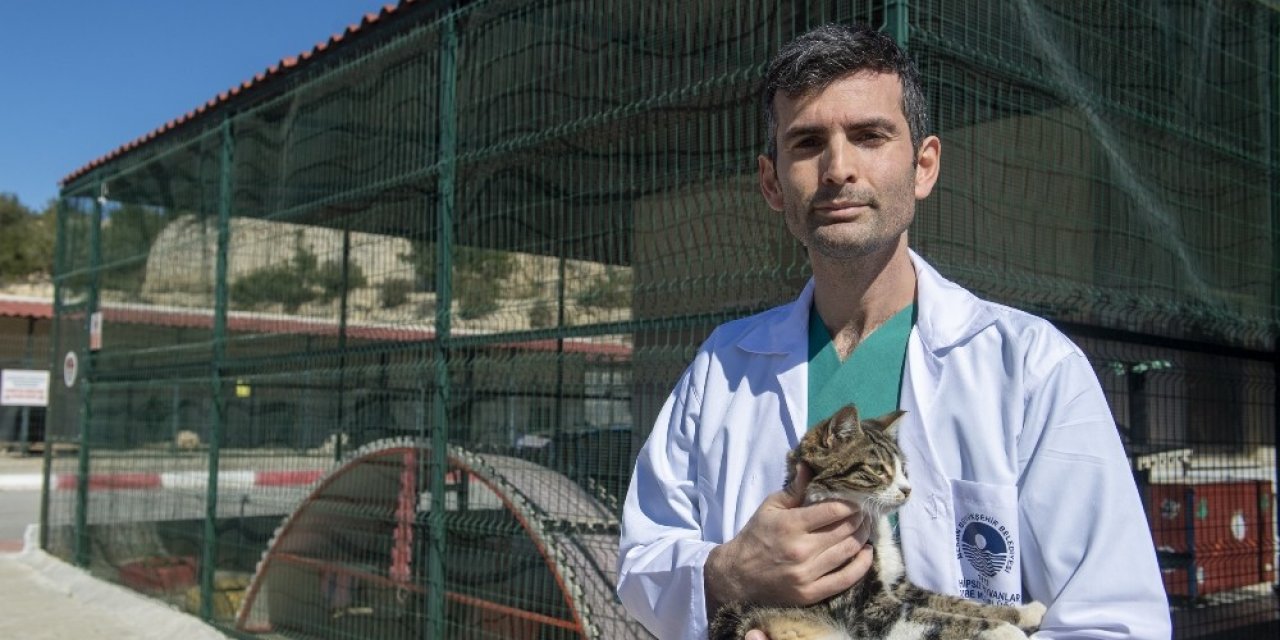 Hayvanlarda Kısırlaştırmanın Önemi Masaya Yatırıldı