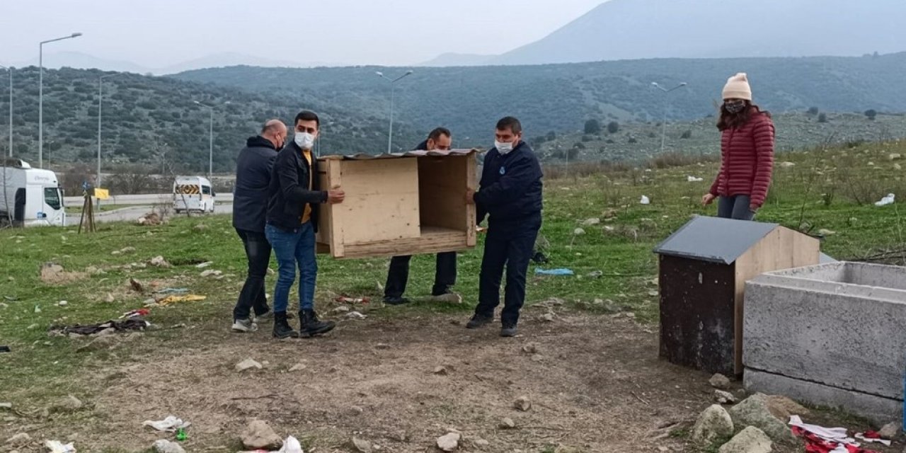 El Ele Verdiler, Sokak Hayvanlarını Barınaksız Bırakmadılar