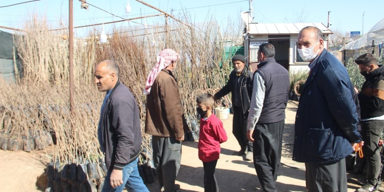Şanlıurfa’da Fidan Satışları Yeni Yılda İki Kat Arttı