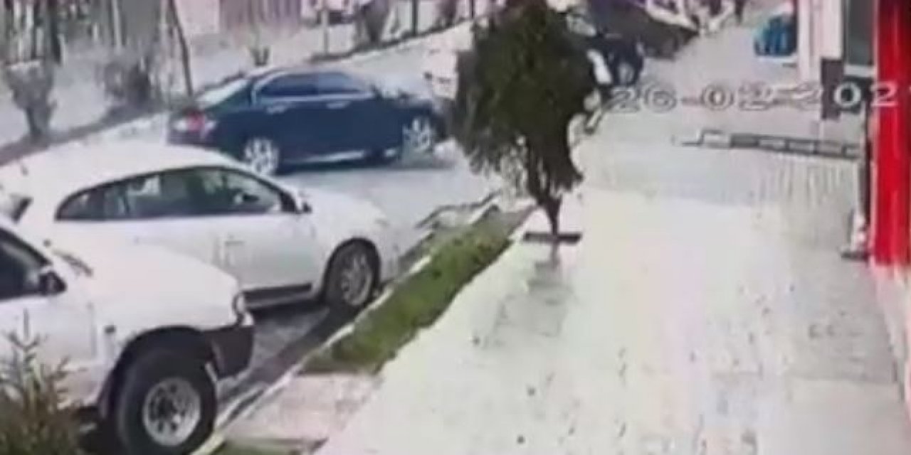 Hamile Sokak Köpeğinin Üzerinden Arabayla Geçti