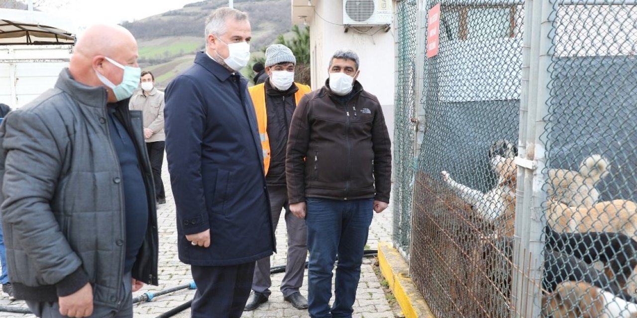 Kılıç: "can Dostlar İçin Daha Çok Hassasiyet Göstereceğiz"