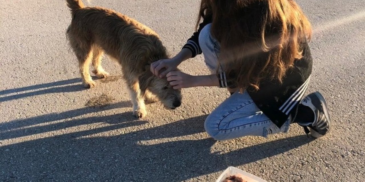 Öğrencilerden Örnek Olacak Çalışma