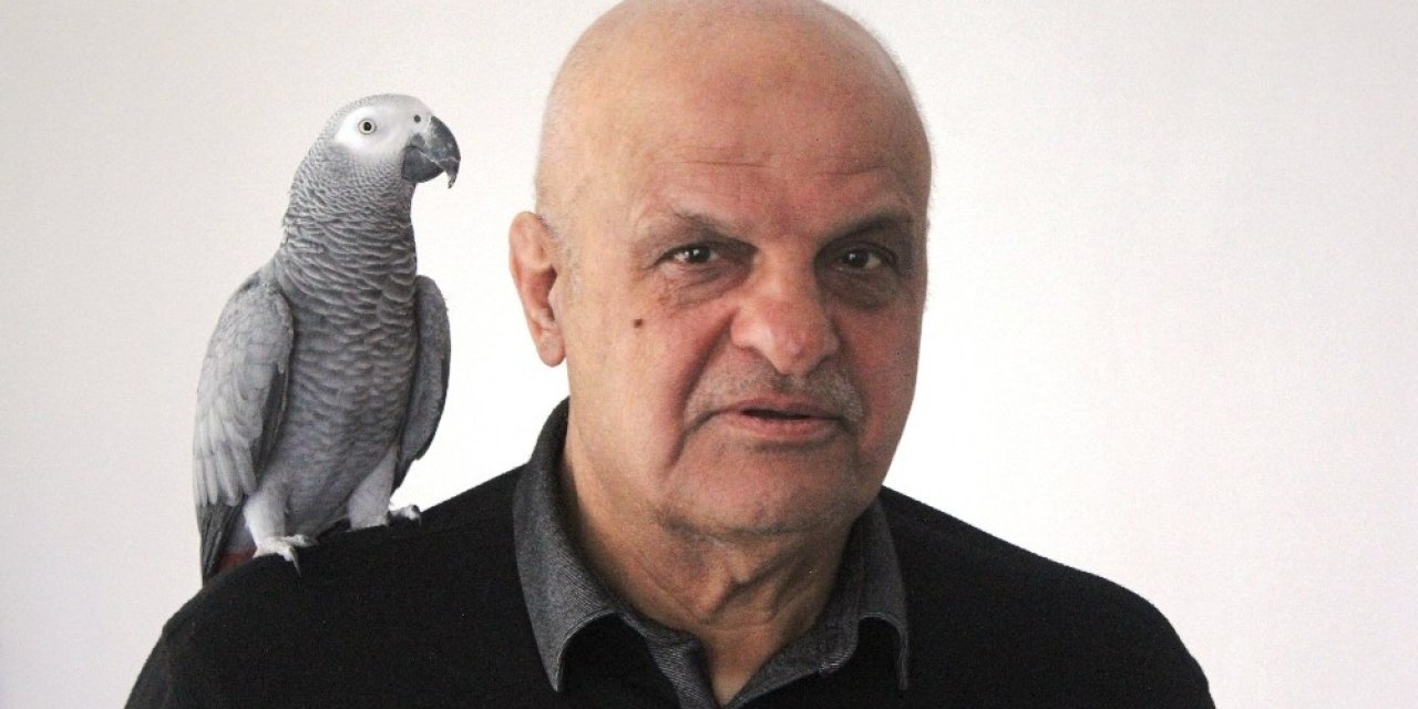 Papağan "ufuk" İnsan Gibi Konuşuyor
