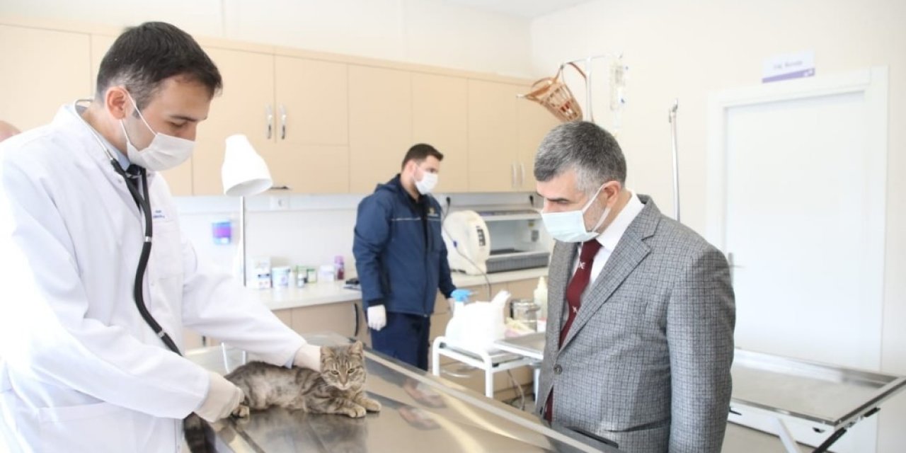 Sokak Hayvanlarına Özel Klinik Açıldı