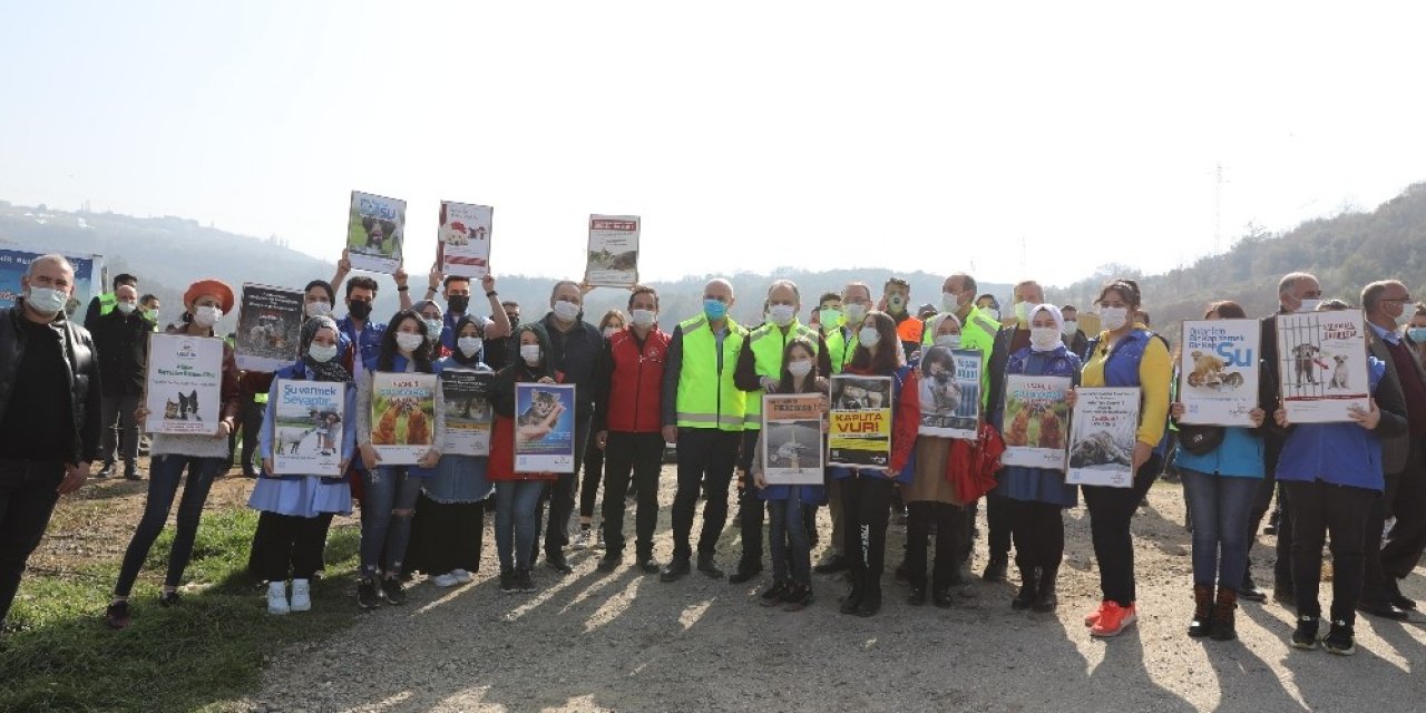 Gönüllüler Sokak Hayvanları İçin Sokaklara İndi