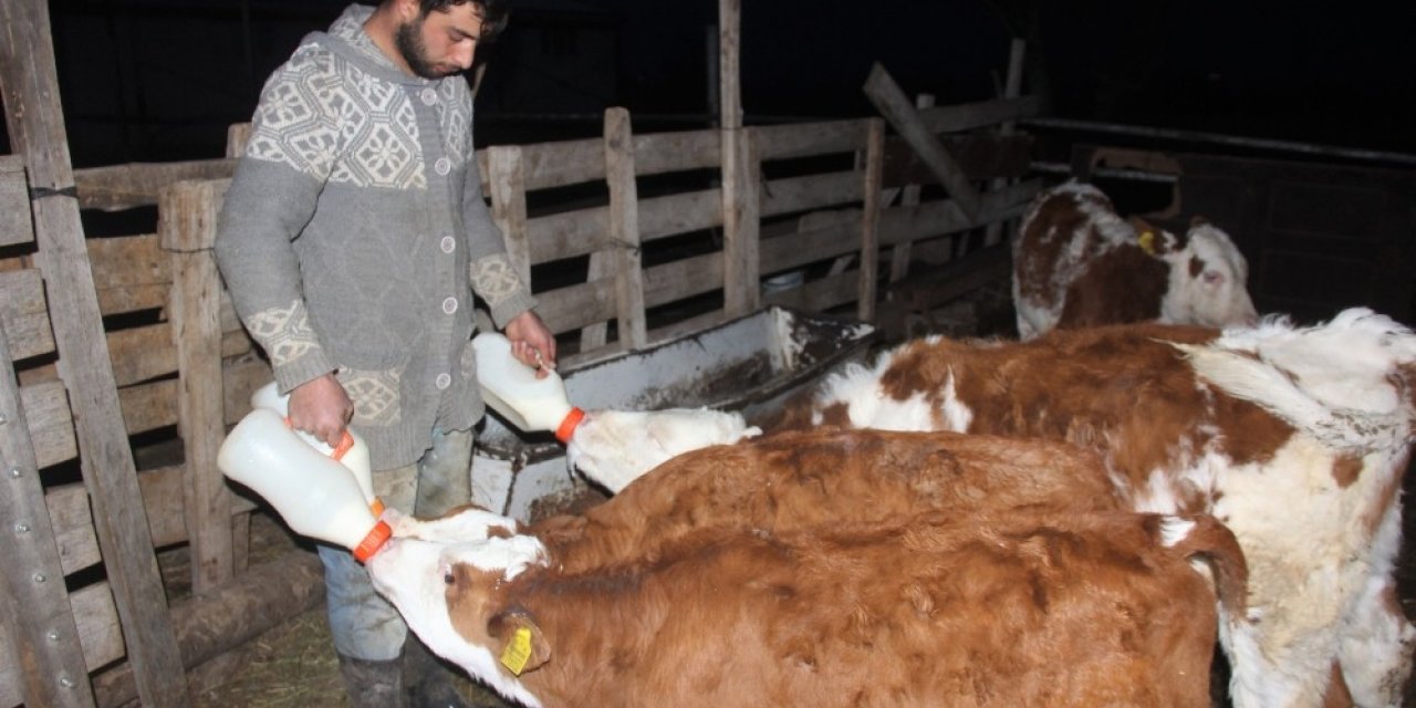 Üniversiteyi Bitirip Çiftçilik Yaparak Kendi İşinin Patronu Oldu