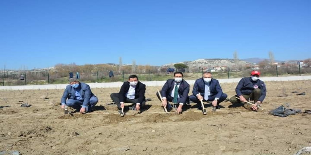 Selendi’de Cirit Sahası Artık Lavanta Kokacak
