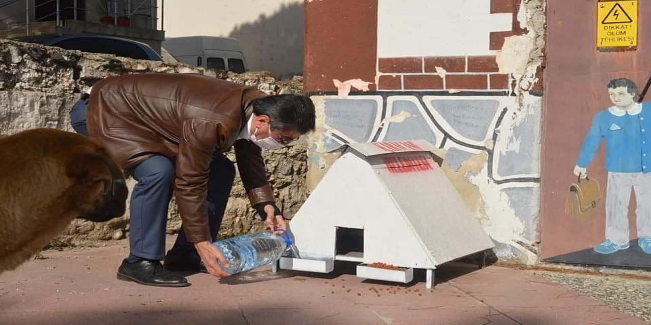 Başkan İ̇nal, Sokak Hayvanlarını Kendi Elleri İle Besledi