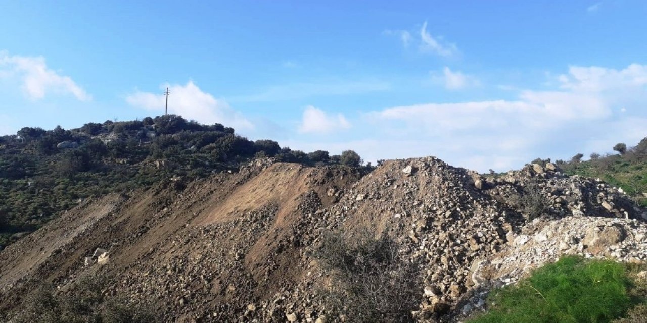 Bodrum’da Çevre Katliamı Durdurulamıyor