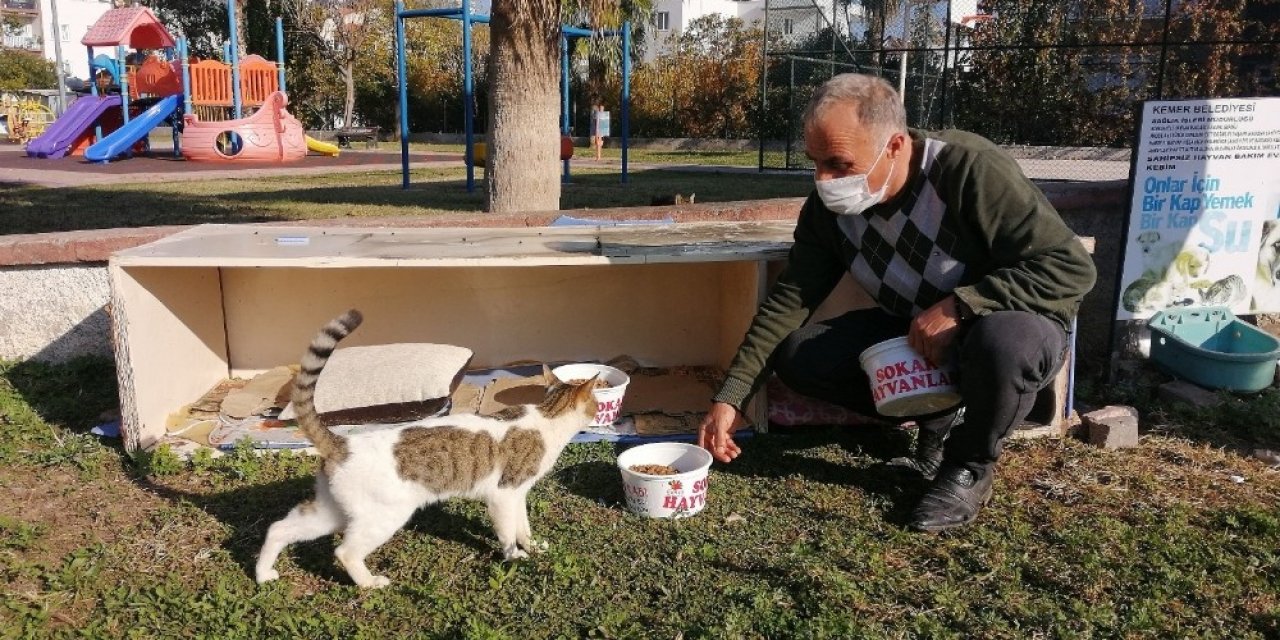 Kemer’de Bir Ayda 27 Sokak Hayvanı Sahiplendirildi