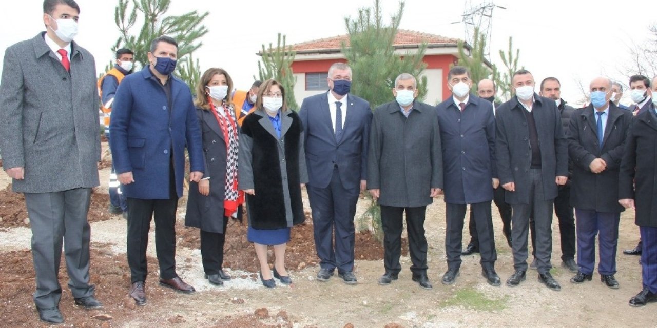Gaziantep’te 330 Adet Karaçam Ağacı Toprakla Buluştu