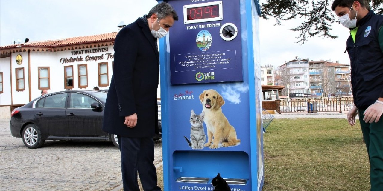 Çevreci Mamamatikle Sokak Hayvanları Beslenecek