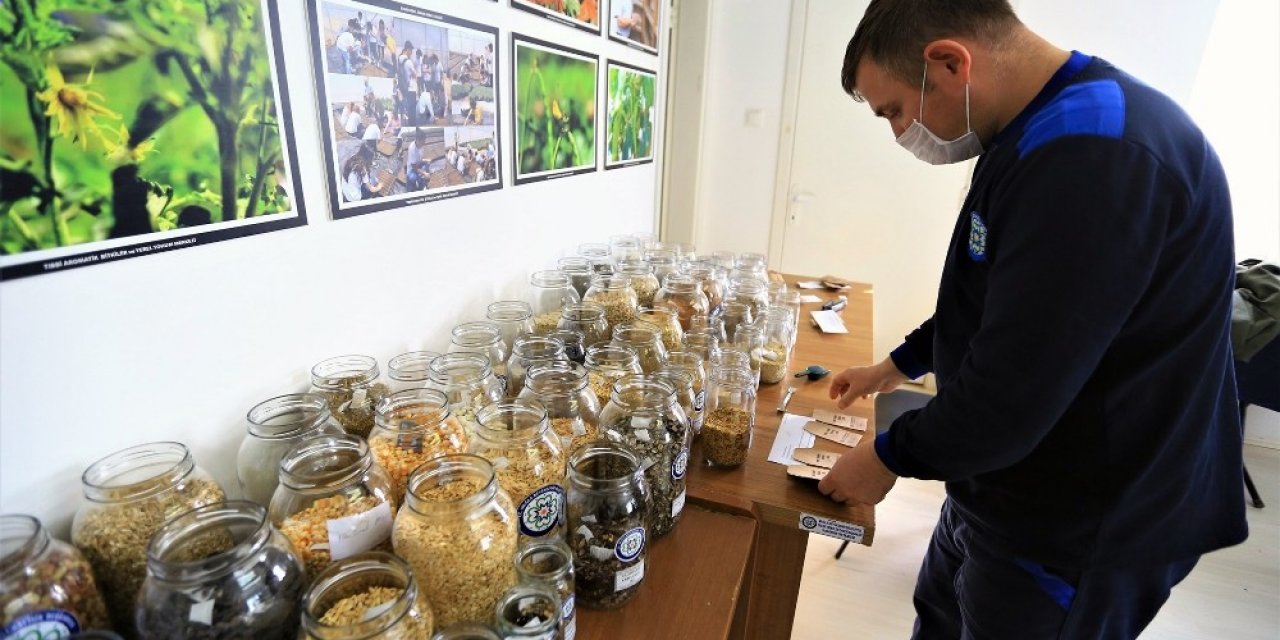 Muğla’nın Tohumları Türkiye’nin Topraklarıyla Buluşuyor