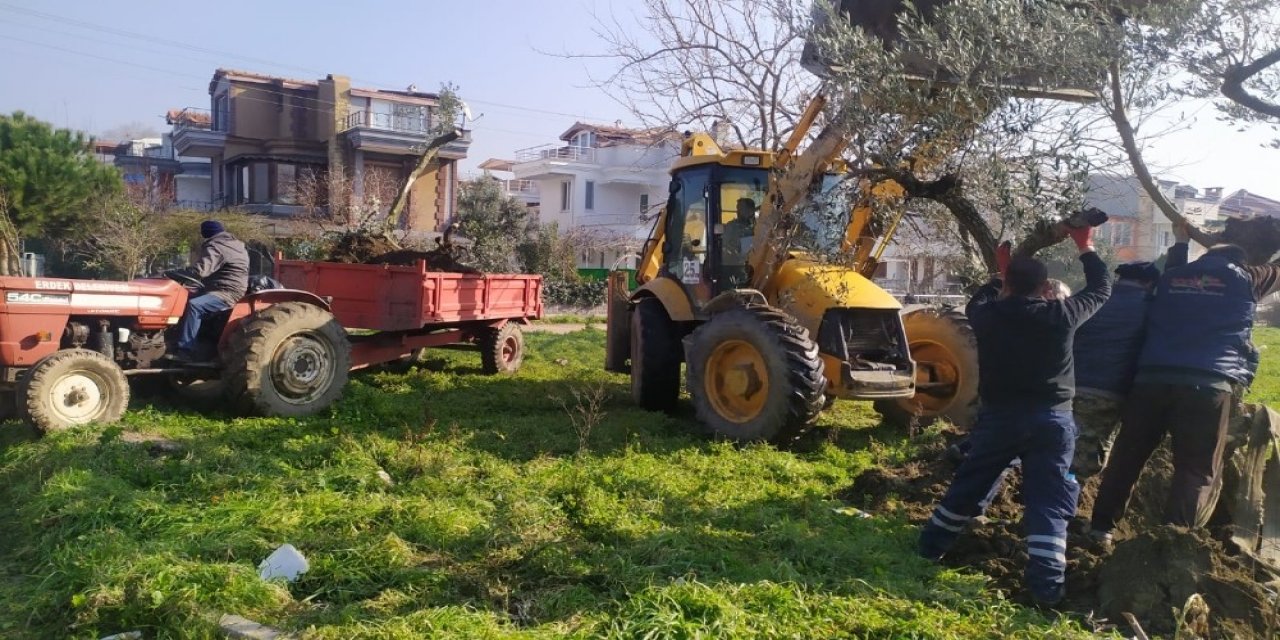Erdek Yeşile Sahip Çıkıyor