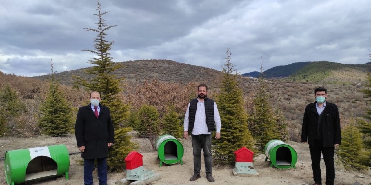 ’bilinçli İ̇nsanlar Atıksız Konutlar Projesi’ Ekibinden Sokak Hayvanları İçin Çalışma