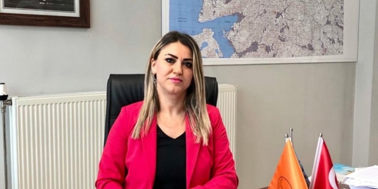 Aysun Aykan: “türkiye’de Her 7 Yılda Bir Büyük Deprem Oluyor”