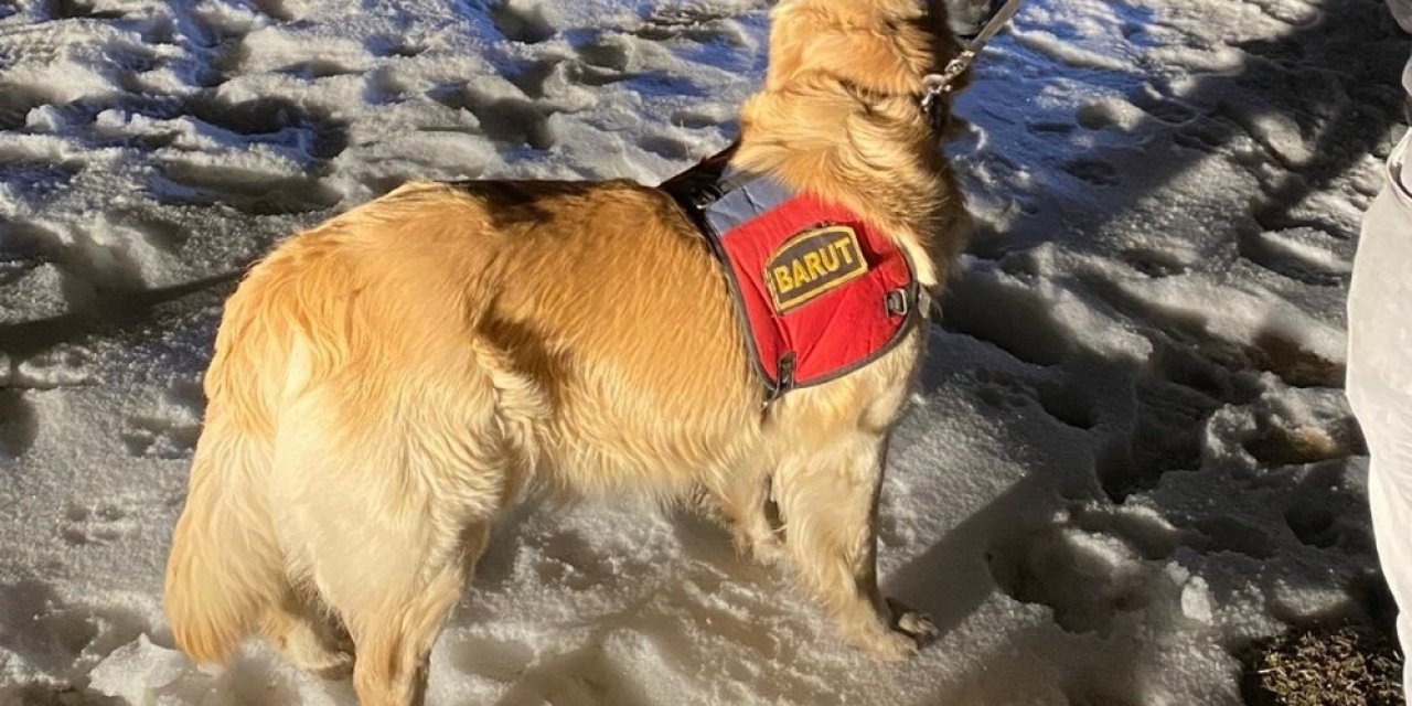 Başkale’de 123 Kilogram Eroin Ele Geçirildi
