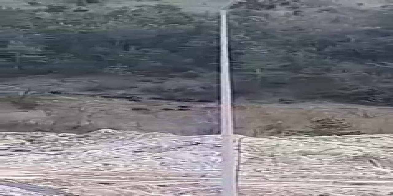 Aç Kalan Yaban Domuzu Sürüsü, Osb Merkezine Kadar Geldi