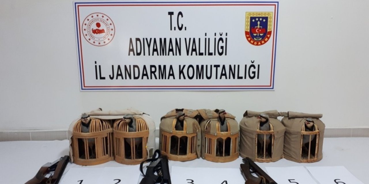 Durdurulan Araçta 7 Keklik Ele Geçirildi