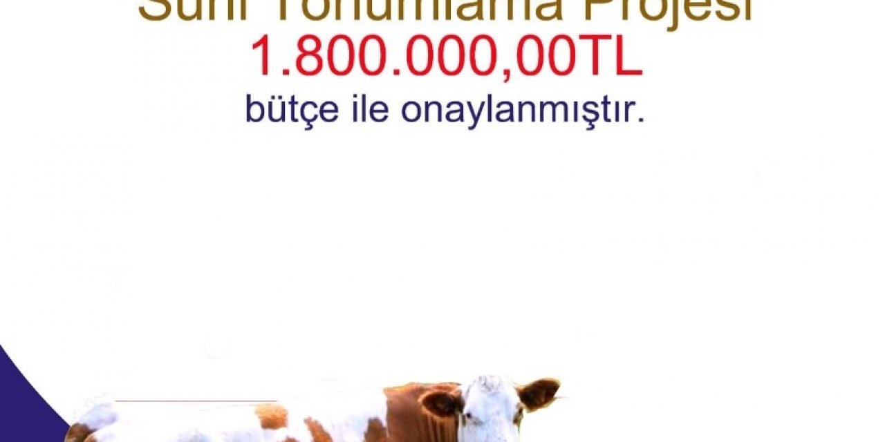 Bayburt’ta “Suni Tohumlama Projesi” İçin 1 Milyon 800 Bin Tl’lik Bütçe Onaylandı