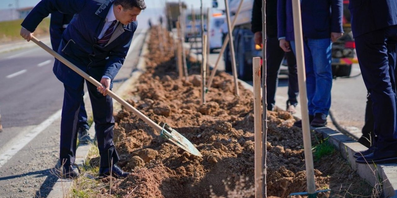 Silvan’da Refüj Yeşillendirme Çalışmaları