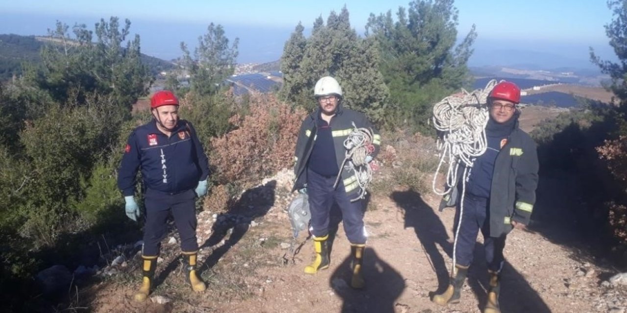 Uçurumda Mahsur Kalan Keçileri İtfaiye Kurtardı