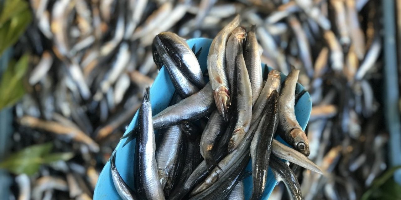 Kilosu 250 Tl’den Alıcı Bulan Kalkan, Yok Satıyor