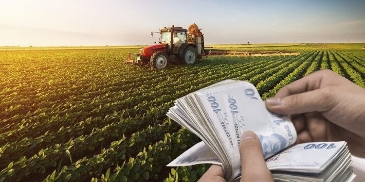 Erzincan’da Tarımsal Destek Ödemeleri Kapsamında 1724 Çiftçiye 4 Milyon 929 Bin 700 Tl Ödendi