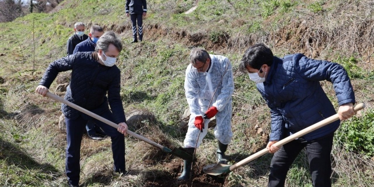 Samü Personeli Meyve Fidanlarını Toprakla Buluşturdu