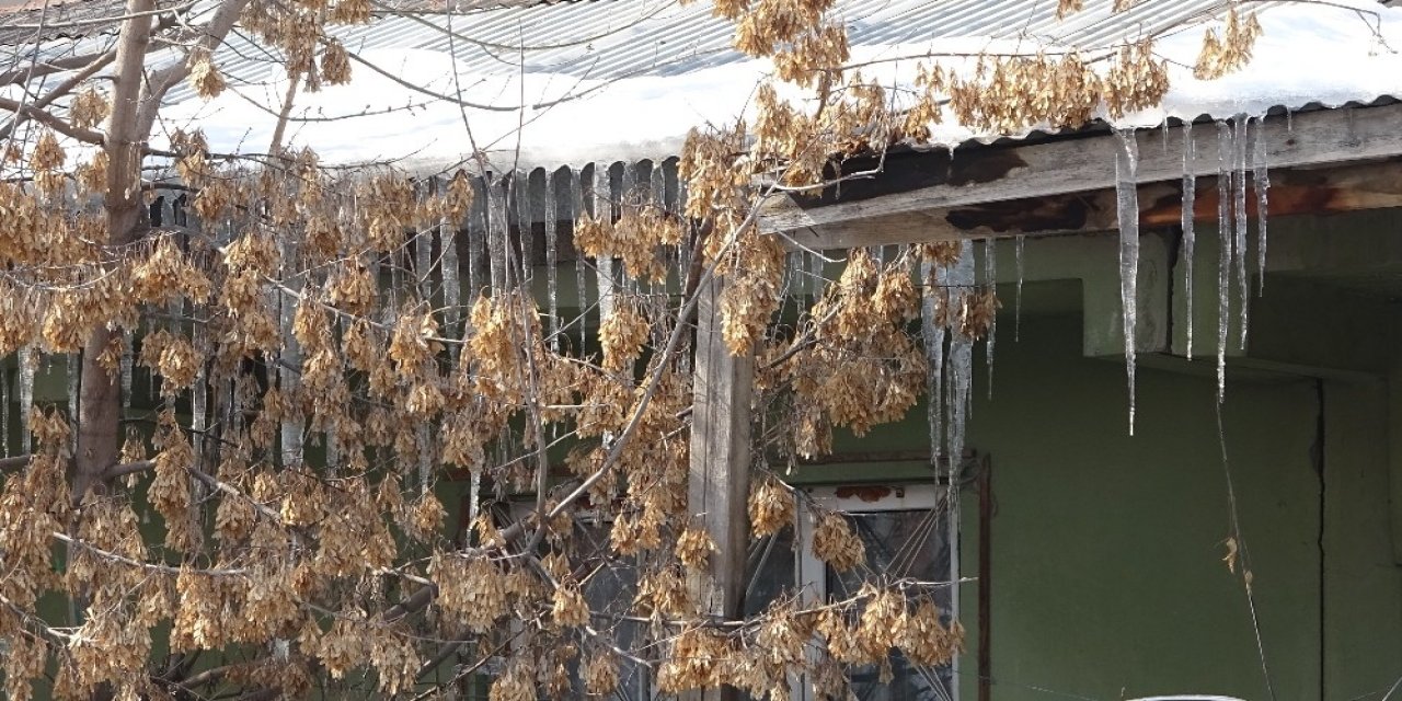 Soğuk Hava Ağrı’da Etkili Olmaya Devam Ediyor