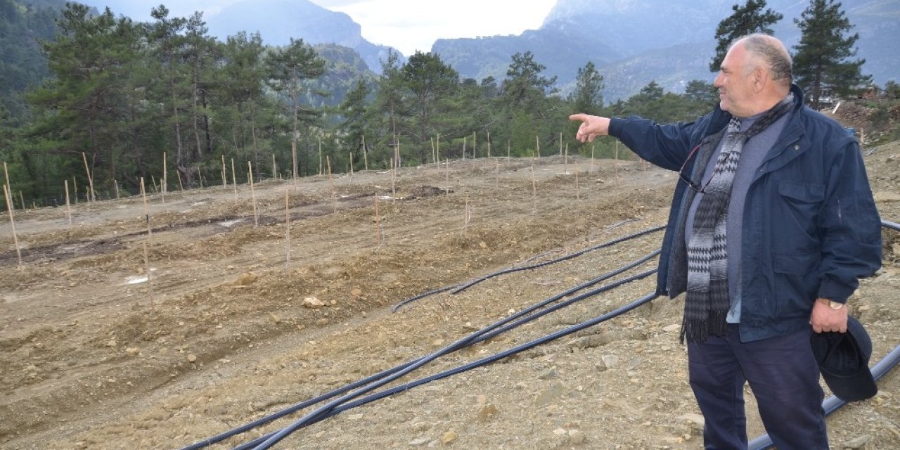 Herkes Köyden Kente Giderken O Almanya’dan Köyüne Döndü