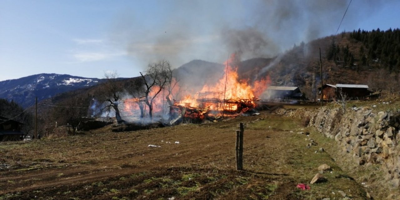 Artvin’de Korkutan Yangın