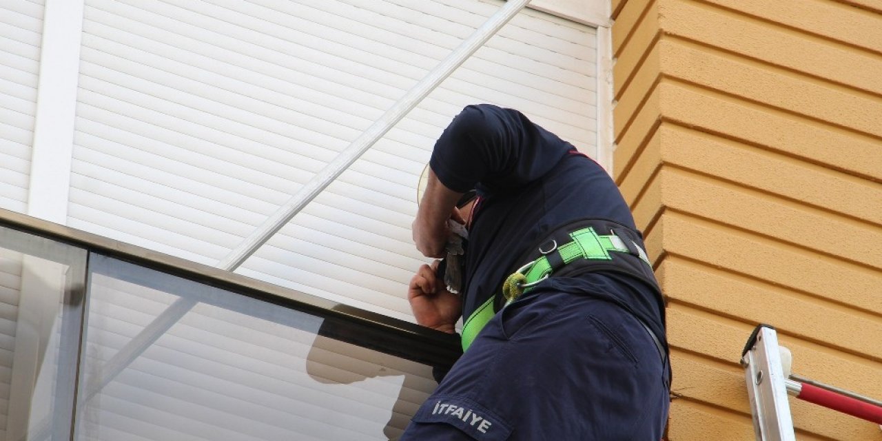 Antalya’da Kumru Kurtarma Operasyonu